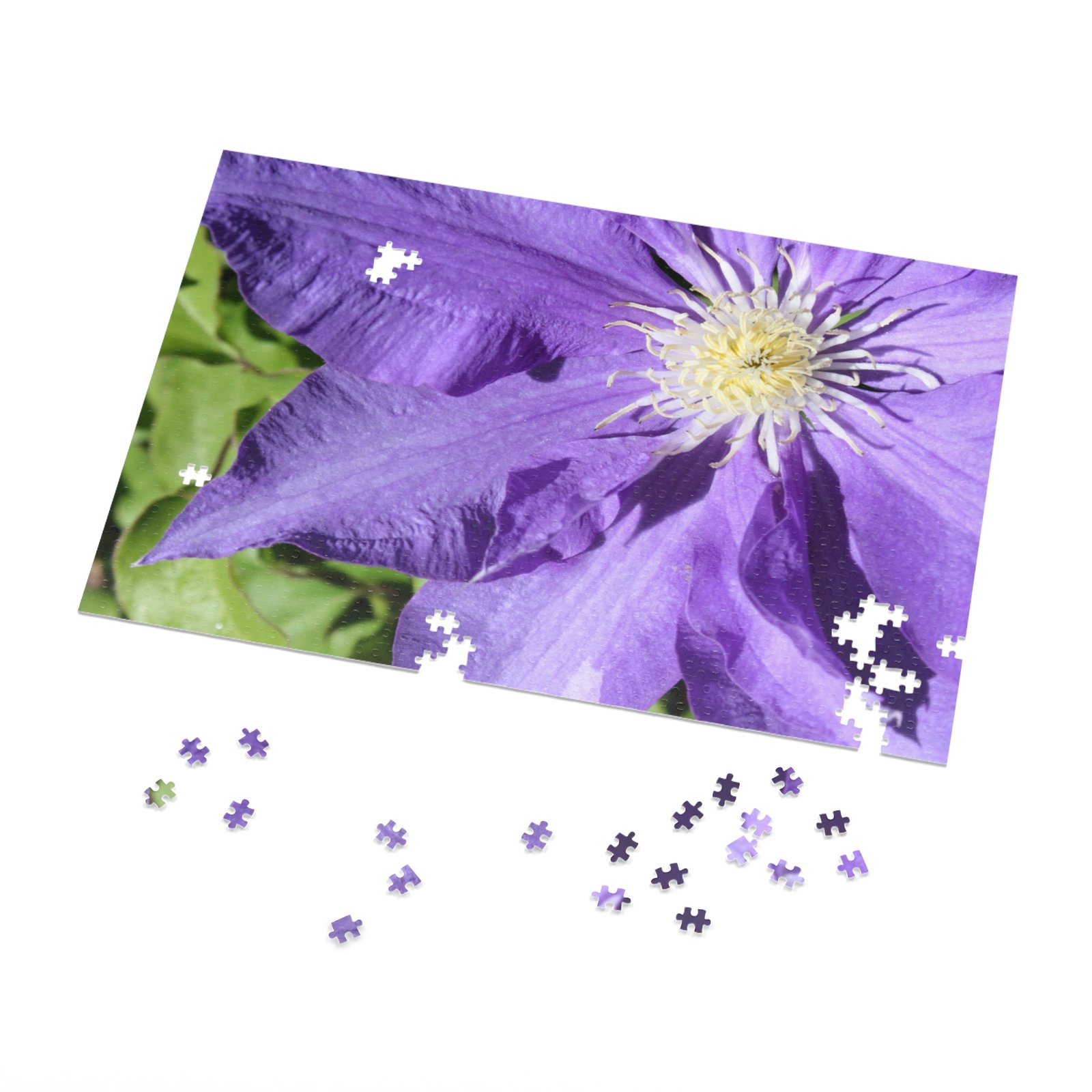Clematis 1000-Piece Challenging Puzzle - Image 3