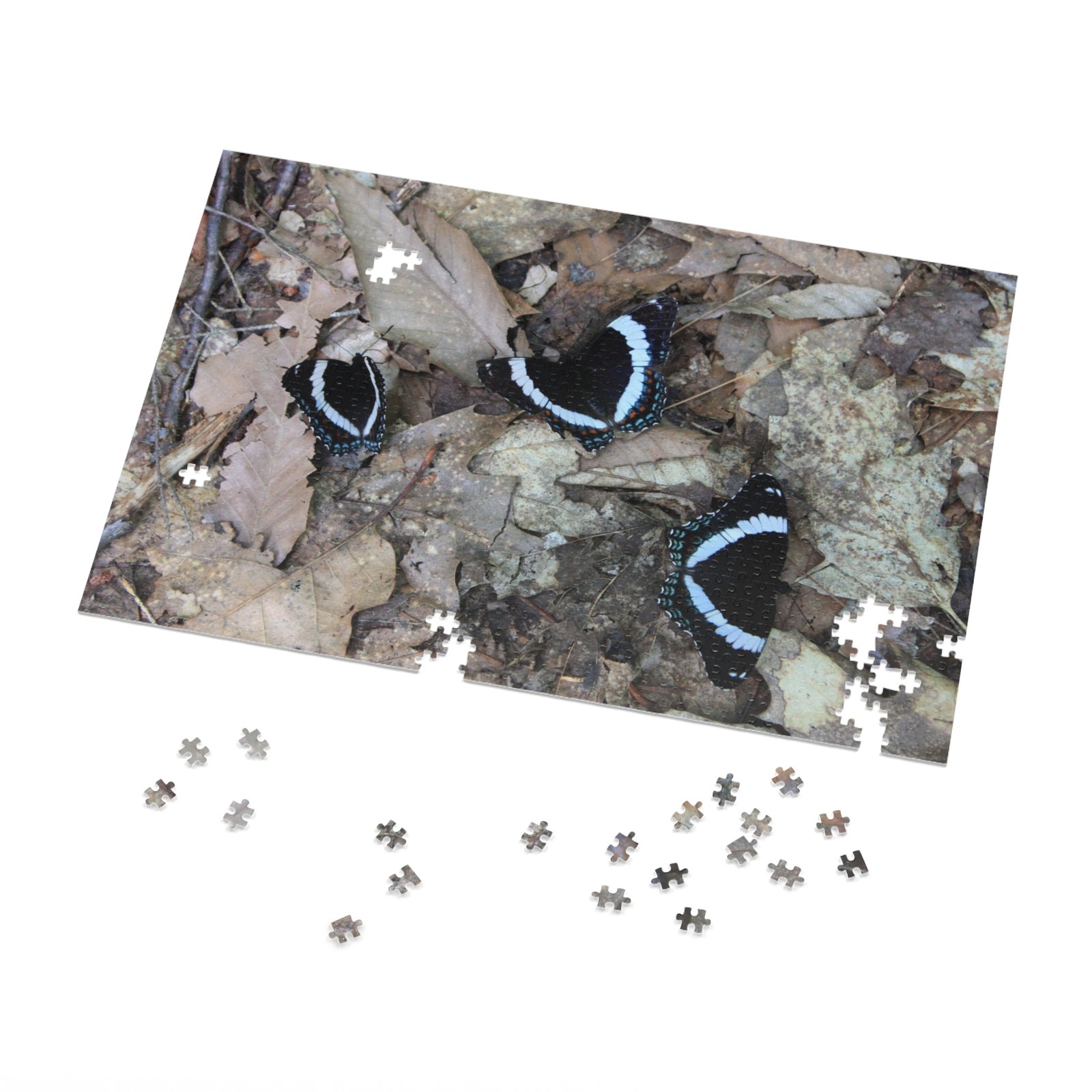 Jigsaw Puzzle 1000-Piece Blue Butterfly - Image 3