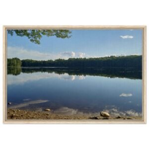 Pond Life Canvas Print – Serene Nature Photography | Imagical Marianne