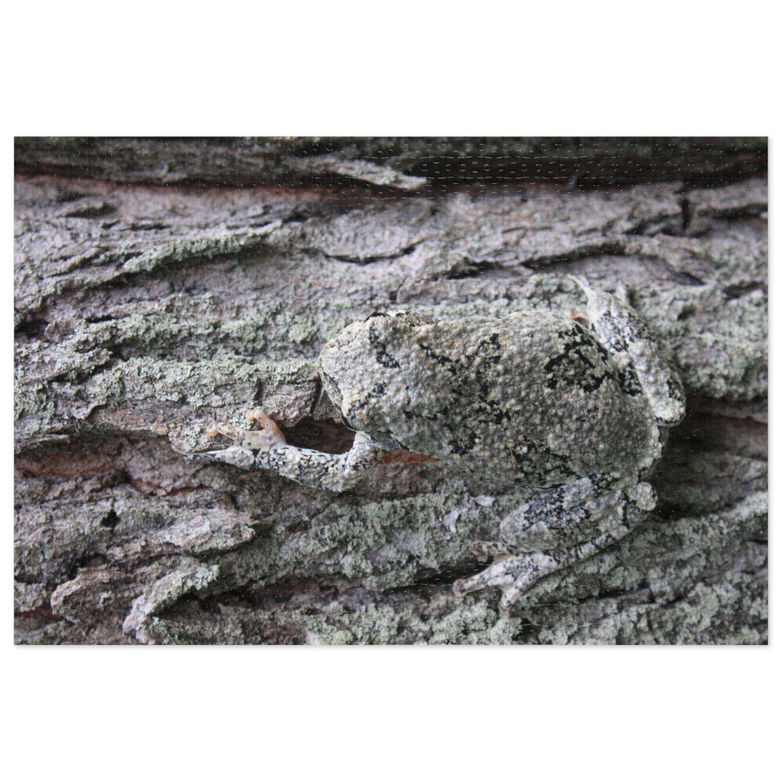 The Hardest (?) Super Challenging Jigsaw Puzzle, 500 & 1000-Piece - Image 2